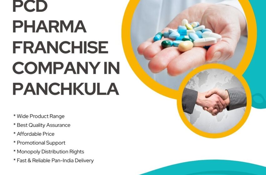 PCD Pharma Franchise In Panchkula – A Trusted Path for Business Expansion