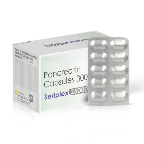 Pancreatin Capsules 300MG