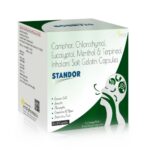 Camphor Chlorothymol Eucalyptol Menthol & Terpineol Inhalant Soft Gelatin Capsules - STANDOR Soft Gelatin Capsules - Ernst Pharmacia