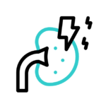 Nephrology / Urology