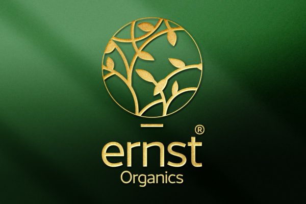 ernst-01